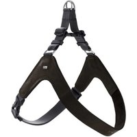 Hunter Geschirr Dimaro schwarz M
