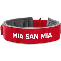 Hunter Halsband Neopren FC Bayern München 45 cm