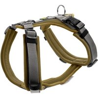 Hunter Geschirr Maldon Up oliv XS-S