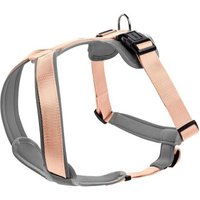 Hunter Geschirr Neopren orange/ grau M-L