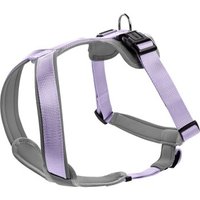 Hunter Geschirr Neopren lila/ grau M-L