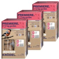 PREMIERE Beeren-Knödel 3x6 Stück