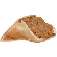 Trixie Kauhuf Fleischpastete 25 Stück