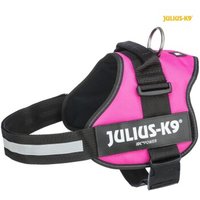 Trixie Julius-K9® Powergeschirr® Gr. 0-3 fuchsia L