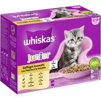 Whiskas Multipack Junior Geflügel Auswahl in Gelee 12 x 85g