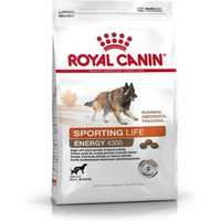 ROYAL CANIN ENERGY 4300 (TRAIL) 15 kg