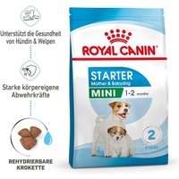 ROYAL CANIN Mini Starter 4 kg