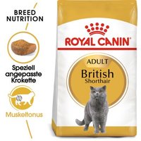 ROYAL CANIN British Shorthair Adult 4 kg