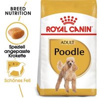 ROYAL CANIN Poodle Adult 3 kg