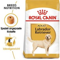 ROYAL CANIN Labrador Retriever Adult 3 kg