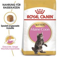 ROYAL CANIN Maine Coon Kitten 4 kg