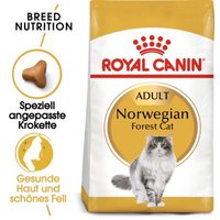 ROYAL CANIN Norwegian Forest Adult 10 kg
