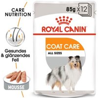 ROYAL CANIN Coat Care Adult Mousse 12x85 g
