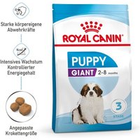 ROYAL CANIN Giant Puppy 3,5 kg
