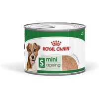 ROYAL CANIN Mini Ageing Mousse 12x195 g