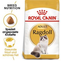 ROYAL CANIN Ragdoll Adult 10 kg
