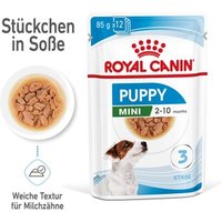 ROYAL CANIN Mini Puppy 12x85g