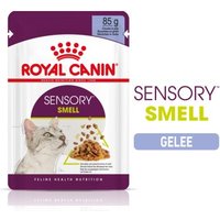 ROYAL CANIN SENSORY Smell in Gelee für wählerische Katzen 12x85g
