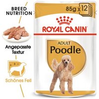 ROYAL CANIN Poodle Adult in Soße 12x85 g