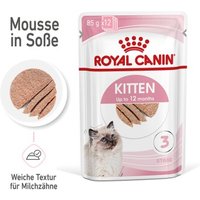 ROYAL CANIN Kitten Mousse in Soße 12x85 g