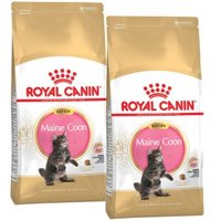 ROYAL CANIN Maine Coon Kitten 2x10 kg