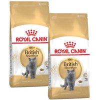 ROYAL CANIN British Shorthair Adult 2x10 kg