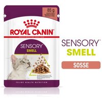 ROYAL CANIN Sensory Smell in Soße für wählerische Katzen 12x85 g