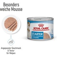 ROYAL CANIN Starter Mother & Babydog Mousse 12x195 g