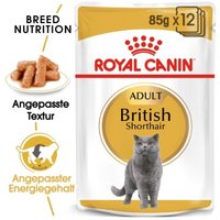 ROYAL CANIN British Shorthair Adult in Soße 12x85 g