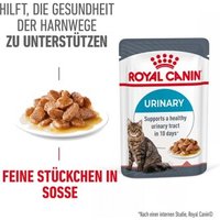 ROYAL CANIN Care Urinary in Soße 12x85 g