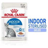 ROYAL CANIN Indoor Sterilised Adult in Gelee 12x85 g