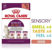 ROYAL CANIN Sensory Smell Taste Feel Multipack in Soße 12x85 g