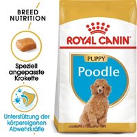 ROYAL CANIN BHN Poodle Puppy 3kg