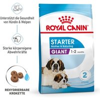 ROYAL CANIN Giant Starter 15kg