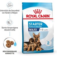 ROYAL CANIN MAXI Starter 15kg