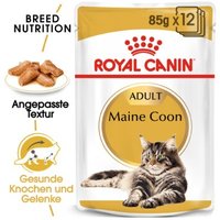 ROYAL CANIN Maine Coon Adult in Soße 12x85 g