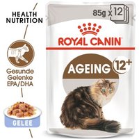 ROYAL CANIN Ageing +12 in Gelee 12x85 g