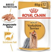 ROYAL CANIN Yorkshire Terrier Adult Mousse 12x85 g