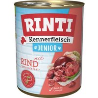 RINTI Kennerfleisch Nassfutter Hund, Junior, Dose Rind 36x800 g