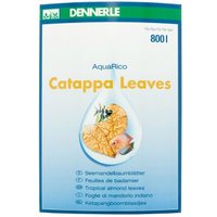 DENNERLE Catappa Leaves 10Stück