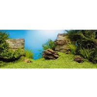 JUWEL Aquarienrückwand Unterwasserlandschaft