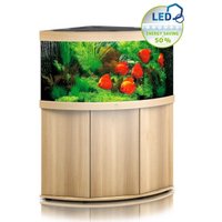 JUWEL Trigon 350 LED SBX helles Holz