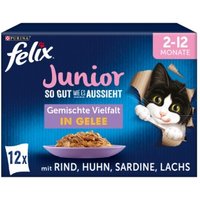Felix So gut wie es aussieht Junior 12x85g