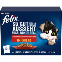 Felix So gut wie es aussieht 12x85g Geschmacksvielfalt vom Land