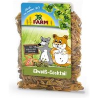 JR Farm Eiweiß Cocktail 50g