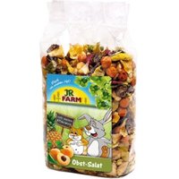 JR Farm Obst Salat 600 g