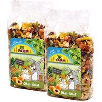 JR Farm Obst Salat 2x600 g