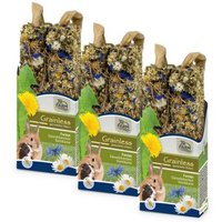 JR Farm Grainless Farmy's Gänseblümchen-Kornblume 3Stk