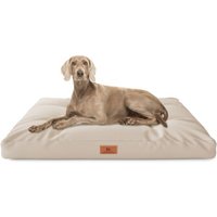 Knuffelwuff Hundekissen Gatsby aus Oxford-Gewebe beige M-L