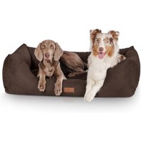 Knuffelwuff Hundebett Dreamline aus Velours braun XL